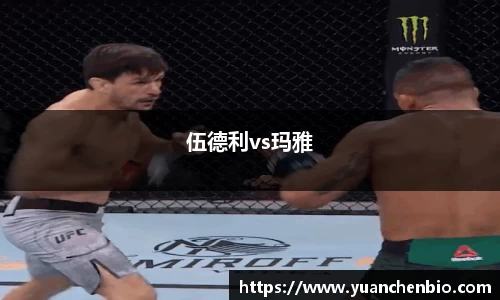 JN江南体育官网